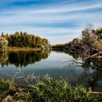 Au bord de l'eau