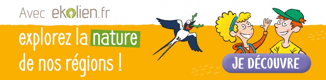 banner-ekolien-desktop