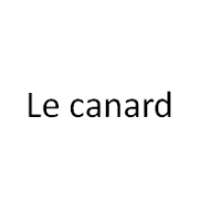 Le canard colvert