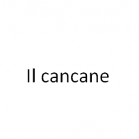 Il cancane