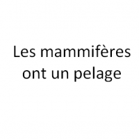 Les mammifères ont un pelage