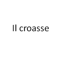 Il croasse