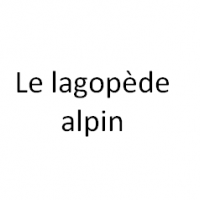 Le lagopède alpin