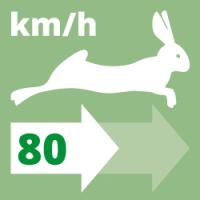 80 km/h