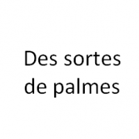 Des sortes de palmes